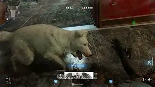 nah jit trippin (mw, rocket leauge, halo)