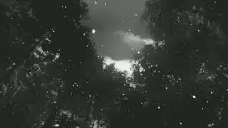 Sxnctuary, Awaitedfate - FAR OUT