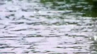 ВОДА ВОДА ВОДА