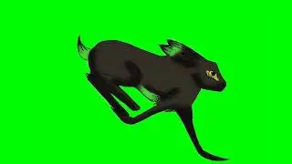 rabbit jumping On green screen chroma