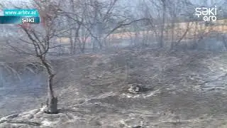 Shekide yangin... Kulek alovu etrafa yaydi