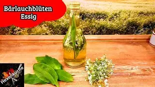 Wild garlic flower vinegar - delicious for salads and to refine soups and sauces.