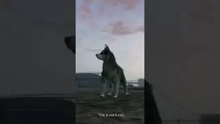 R.I.P. Mishka the Talking Husky (GTA V) 