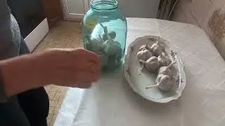 Как сохранить чеснок до лета