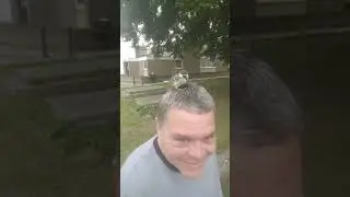 Baby bird climbs on my head!