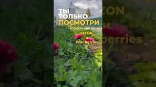 Что купить для огорода сейчас #огород #дачасадогород #дача #garden #грядки #дачасад #садоводство