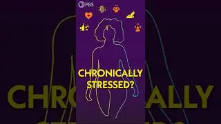 The Problem with a Dysregulated Nervous System