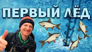 The first ice 2020-2021. Fishing for roach in winter with semolina