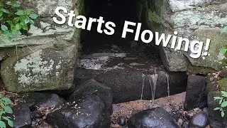 Dried up stream in Massachusetts starts flowing again.