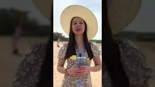 6 июня 2024 г.