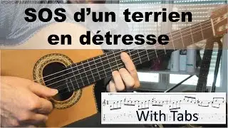 SOS d'un terrien en détresse (V2) - Starmania - Solo classical guitar