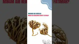 Amankah ibu bersalin minum air rendaman rumput fatimah? #edukasikehamilan #airrendamanrumputfatimah