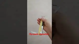 5 августа 2024 г.