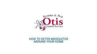 How to Deter Mosquitos Around Your Home