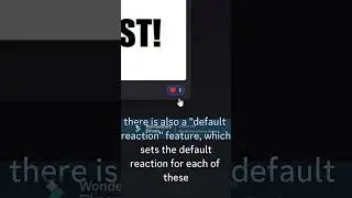 How I made a social media in Discord 