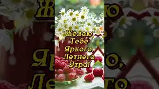 #доброеутро