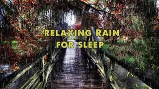 Rain Forest Sounds for Sleep, Rain Forest Sounds for Sleeping, Insomnia, Studying Relaxing