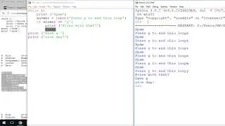 Python's while statement with break and continue