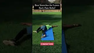 Best Stretches for Lower Back Pain Relief | Lower Back Stretches Short