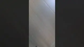 kucing viral makan nya tempeeee😂😂😂😂