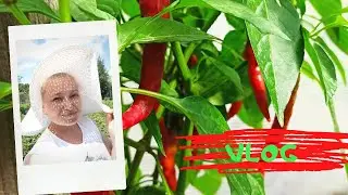 vlog  выходных дней. Читаю, вяжу, вышиваю