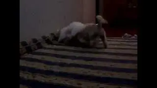 madre e hija jugando