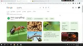 Fix myanmar unicode font display in browsers