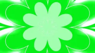 Flower Transition effects green screen animation | flower transition effects chroma key animation