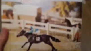 Обзор на набор "Скачки" schleich