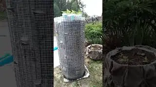 НЕОБЫЧНАЯ КЛУМБА ИЗ СЕТКИ!!!🌺