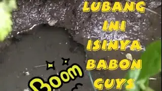 Lubang belut ini isinya tidak terduga || tarik menarik babonnya guys