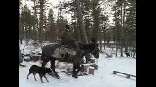 Охота 2009 год.