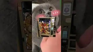 ЛЮДИ, КОТОРЫМ ПОВЕЗЛО С ЕДОЙ