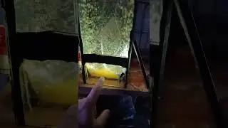 Икра щуки...