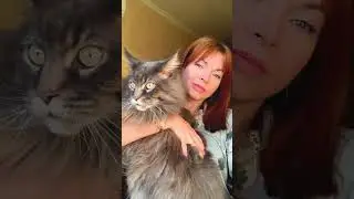 500 🔥 Бакс 5 лет был один в семье, вырос эгоистом и тут в его жизни появилась сестра 😹