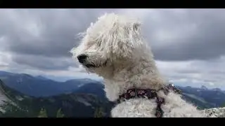 Hiking British Columbia | Coquihalla Summit Recreation Area