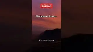 Facts About Psychology: The Marvels of the Human Brain #shorts