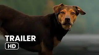 A Dog's Way Home - International Trailer #1 (2018)
