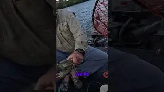 A few more CRABBING videos to show you!