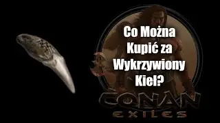 Święte Polowanie | Co Można Kupić w Grze za 