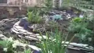 ГуматЭМ, ургаса, ЭМ-растворы в качестве подкормки. Мульчирование.