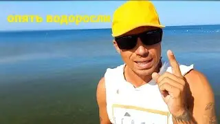 Анапа Сегодня Погода , Море в водорослях / Витязево сейчас 2023