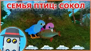 СЕМЬЯ ПТИЦ  🦅 ФАЛКОН 🐤 или СОКОЛ РОБЛОКС (история про птенцов) ROBLOX Feather Family 🐦 FALCON 🐤Story