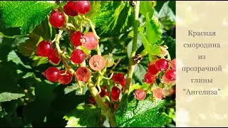 Красная смородина из прозрачной глины Ангелиза, холодный фарфор.
