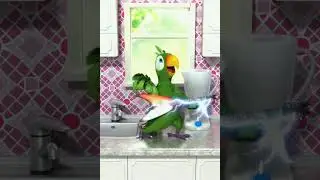 попугай пьер играет на гитаре