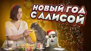 Разговоры о НЕважном | Новогодняя вечеринками с кошками и Алисой