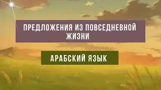УЧИМ АРАБСКИЙ - предложения из повседневной жизни на арабском языке shammusah