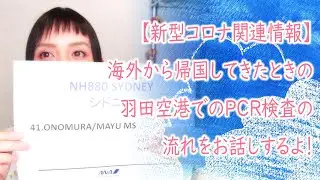 【新型コロナ関連情報】海外から帰国してきたときの羽田空港でのPCR検査の流れをお話しするよ！