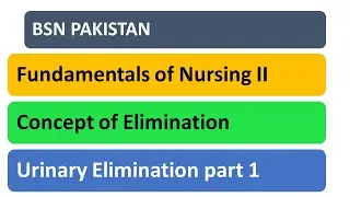 Urinary Elimination | Concept of Elimination | Fundamentals Of Nursing Semester 2 | BSN Pakistan