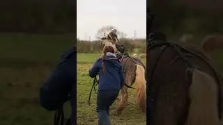 Тами ПОД ЗАЕЗДКУ